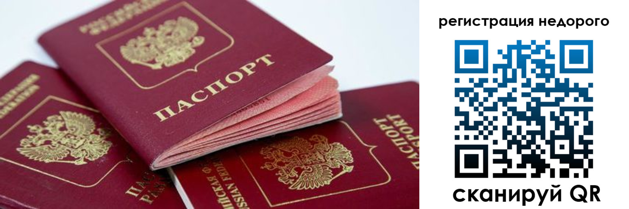 где прописаться в Ярославской области